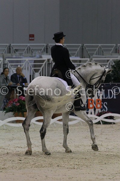 DUPERDU_PASSE PARTOUT_MILANO_2011_SS3_4930.jpg